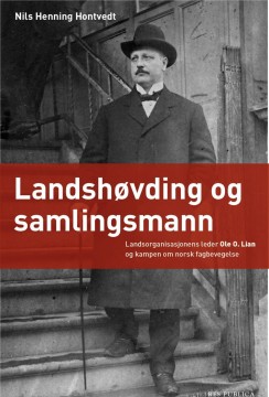 Nils Henning Hontvedt: Landshøvding og samlingsmann