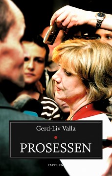 Gerd-Liv Valla: Prosessen