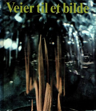 Stein Mehren: Veier til et bilde